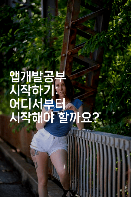 앱개발공부 시작하기: 어디서부터 시작해야 할까요?-스위프리