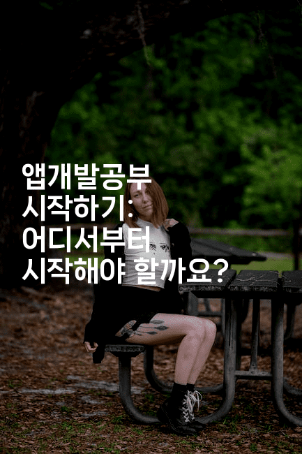 앱개발공부 시작하기: 어디서부터 시작해야 할까요?2-스위프리