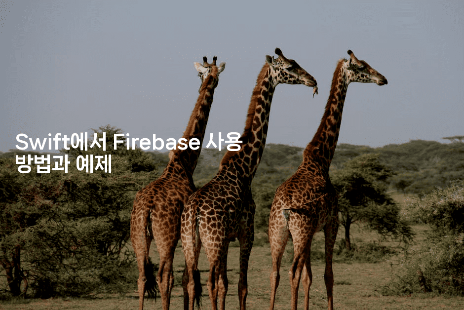 Swift에서 Firebase 사용 방법과 예제
2-스위프리