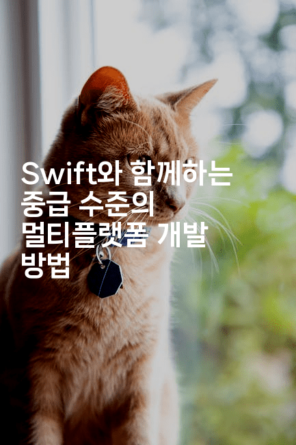 Swift와 함께하는 중급 수준의 멀티플랫폼 개발 방법
2-스위프리