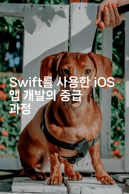 Swift를 사용한 iOS 앱 개발의 중급 과정
2-스위프리