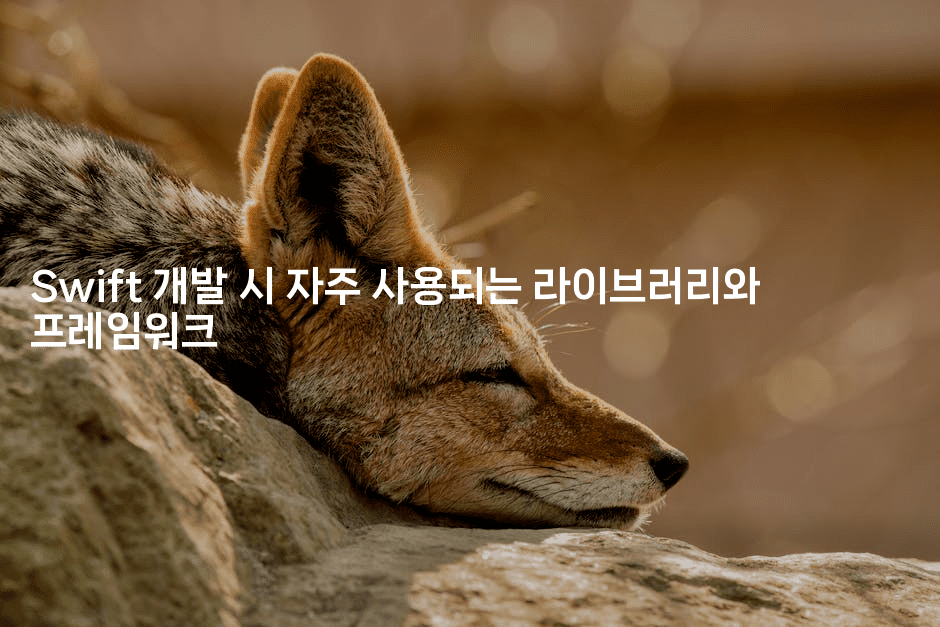 Swift 개발 시 자주 사용되는 라이브러리와 프레임워크
2-스위프리