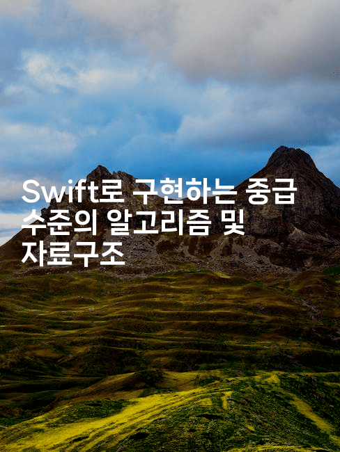 Swift로 구현하는 중급 수준의 알고리즘 및 자료구조
-스위프리