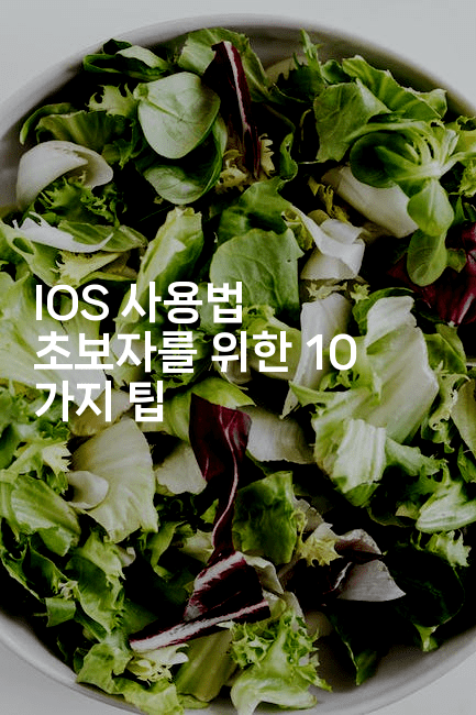 IOS 사용법 초보자를 위한 10 가지 팁-스위프리