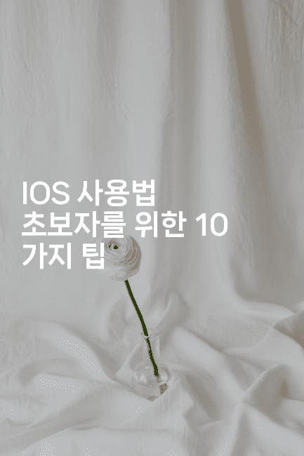 IOS 사용법 초보자를 위한 10 가지 팁2-스위프리