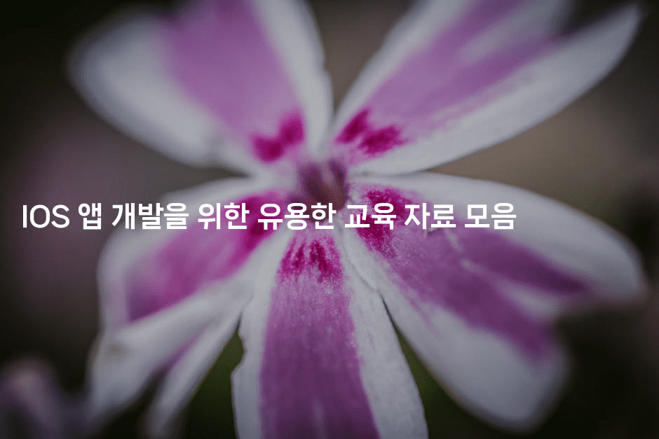 IOS 앱 개발을 위한 유용한 교육 자료 모음