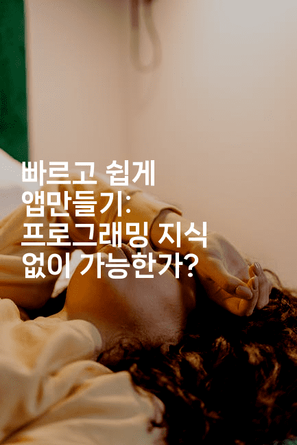 빠르고 쉽게 앱만들기: 프로그래밍 지식 없이 가능한가?2-스위프리