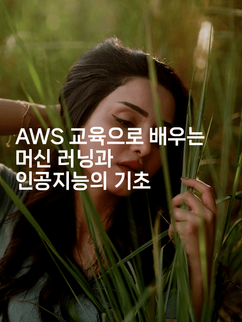 AWS 교육으로 배우는 머신 러닝과 인공지능의 기초2-스위프리