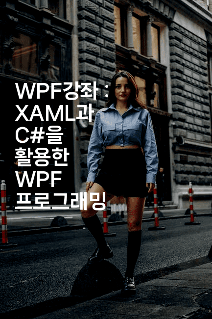 WPF강좌 : XAML과 C#을 활용한 WPF 프로그래밍 -스위프리