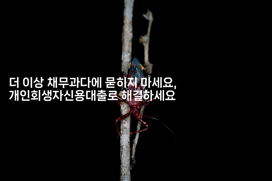 더 이상 채무과다에 묻히지 마세요, 개인회생자신용대출로 해결하세요