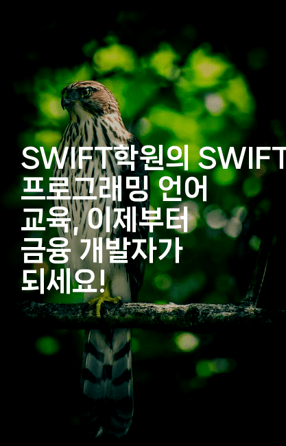 SWIFT학원의 SWIFT 프로그래밍 언어 교육, 이제부터 금융 개발자가 되세요!2-스위프리