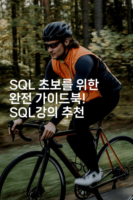 SQL 초보를 위한 완전 가이드북! SQL강의 추천