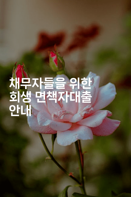 채무자들을 위한 회생 면책자대출 안내