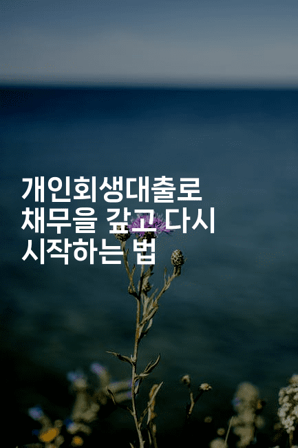 개인회생대출로 채무을 갚고 다시 시작하는 법