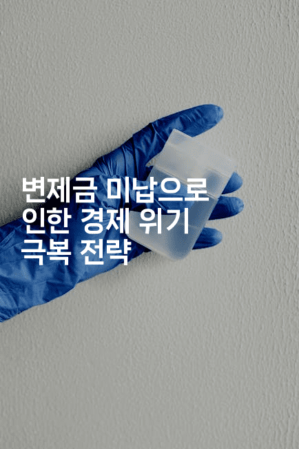 변제금 미납으로 인한 경제 위기 극복 전략-스위프리