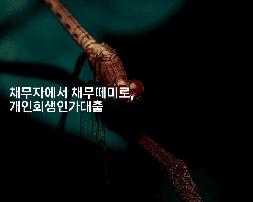 채무자에서 채무떼미로, 개인회생인가대출-스위프리